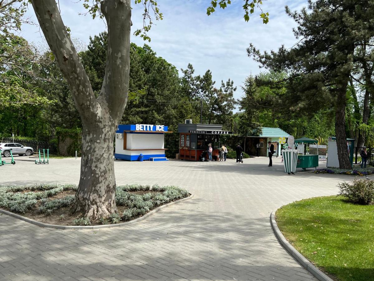 Dendrarium Park Apartment Chisinau Ngoại thất bức ảnh